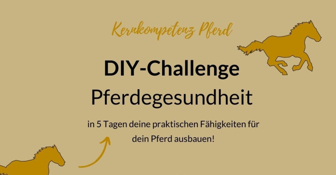 DIY-Challenge Ad1 