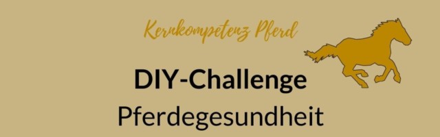 DIY-Challenge Ad1 