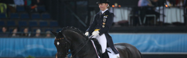 Stuttgart German Masters -Dressur- Sanneke Rothenberger (Deutschland) auf Deveraux OLD German Dressage Master, Preis der Firma Women's Wear Soccx, Grand Prix Special, CDI ****, Stuttgart German Masters, Reiten, 31. Internationales Reitturnier, FEI World Cup, 22.11.2015 Foto: Weiss-Fudisch/Eibner 