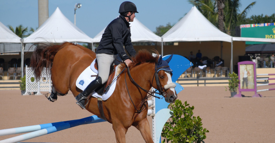 Wellington,,Fl/palm,Beach,-,Nov.,2,,2014:,Mark,Shear,And WELLINGTON, FL/PALM BEACH - NOV. 2, 2014: Mark Shear and Zero compete in the 2014 ESP Fall Finale. The bay horse and male rider are landing after losing a rail during the jump. This is called a fault. 