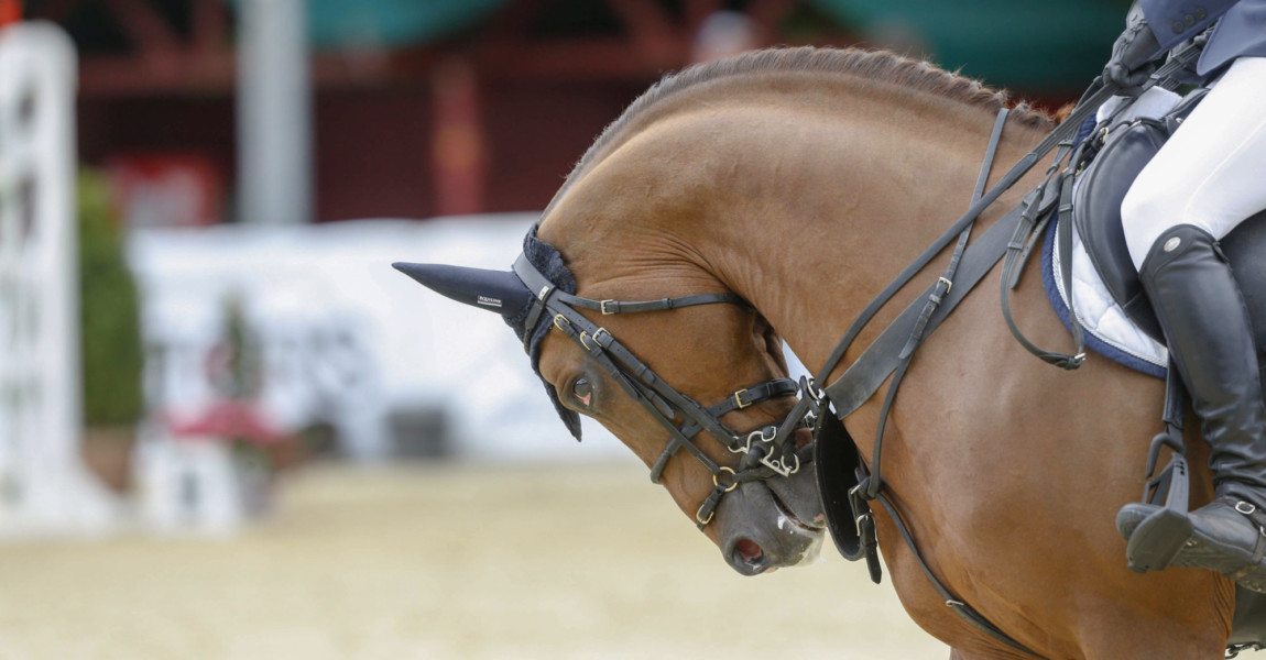 01.03. Bildnummer: 13997452 Datum: 11.07.2013 Copyright: imago/Rau Spangenberg 11.07.2013 Internat. Reitturnier CSI Erˆffnungsspringen: extreme Rollkur bei Wesley Heijdens (NED) und Dallas du Domaine Z ; Pferdesport Reiten Springreiten x0x xsk 2013 quer Pferdesport Reiten Springreiten Image number 13997452 date 11 07 2013 Copyright imago Tough Spangenberg 11 07 2013 Internat Horse CSI Opening jumping Extreme Rollkur at Wesley Heijdens NED and Dallas You Domaine Z Equestrian sports riding showjumping x0x xsk 2013 horizontal Equestrian sports riding showjumping 