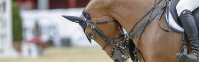 01.03. Bildnummer: 13997452 Datum: 11.07.2013 Copyright: imago/Rau Spangenberg 11.07.2013 Internat. Reitturnier CSI Erˆffnungsspringen: extreme Rollkur bei Wesley Heijdens (NED) und Dallas du Domaine Z ; Pferdesport Reiten Springreiten x0x xsk 2013 quer Pferdesport Reiten Springreiten Image number 13997452 date 11 07 2013 Copyright imago Tough Spangenberg 11 07 2013 Internat Horse CSI Opening jumping Extreme Rollkur at Wesley Heijdens NED and Dallas You Domaine Z Equestrian sports riding showjumping x0x xsk 2013 horizontal Equestrian sports riding showjumping 