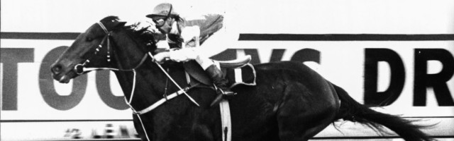 Rosehill Races: Race 8. Man O'War Handicap.0Finish - Dream Mascot. Rosehill Races: Race 8. Man O'War Handicap.0Finish - Dream Mascot. June 30, 1979. (Photo by Grant Peterson; Martin James Brannan; John M Manolato/Fairfax Media via Getty Images). 