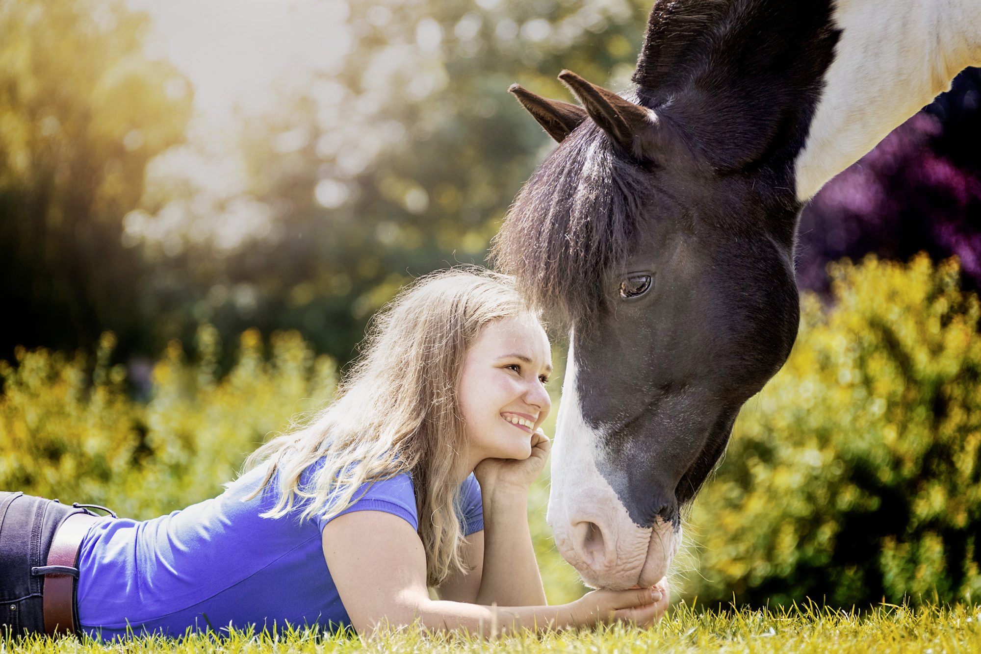 Mensch Pferd Beziehung Mein Pferd Mein Freund