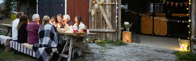 Male and female friends enjoying dinner party against barn at farm 