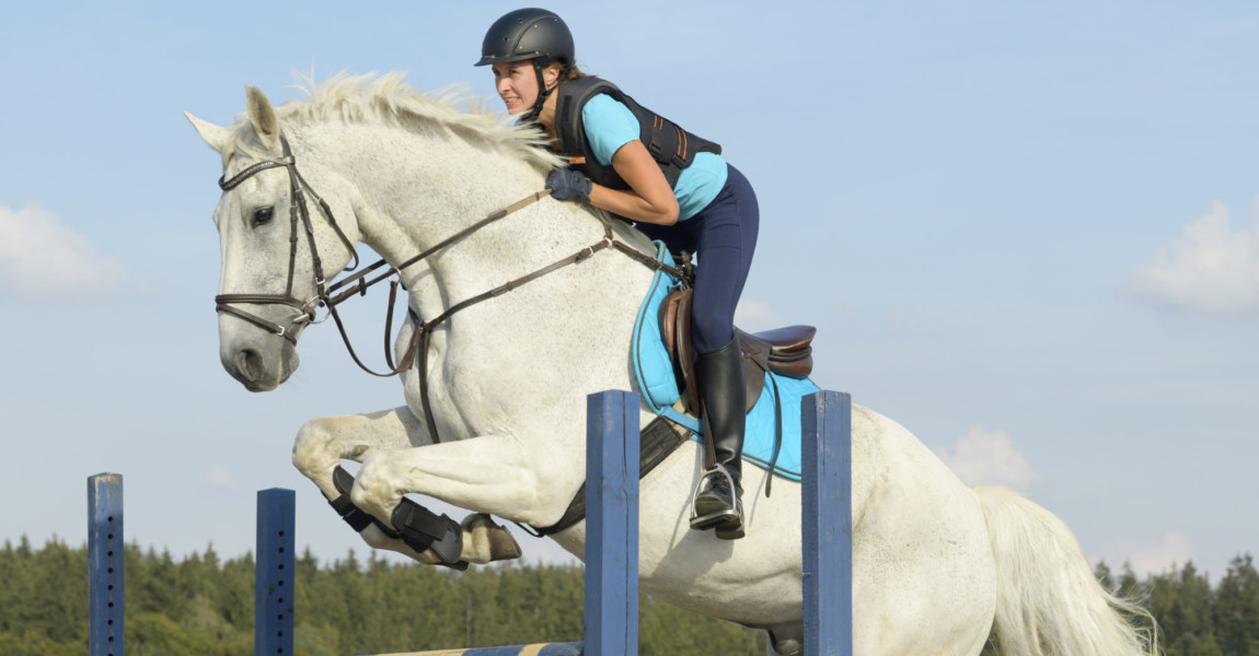 Springreiten Reiterin mit Sicherheitsweste auf Bayerischem Warmblut beim Springen 