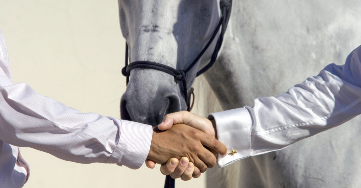 handshake in front of a horse 