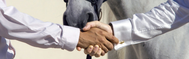 handshake in front of a horse 