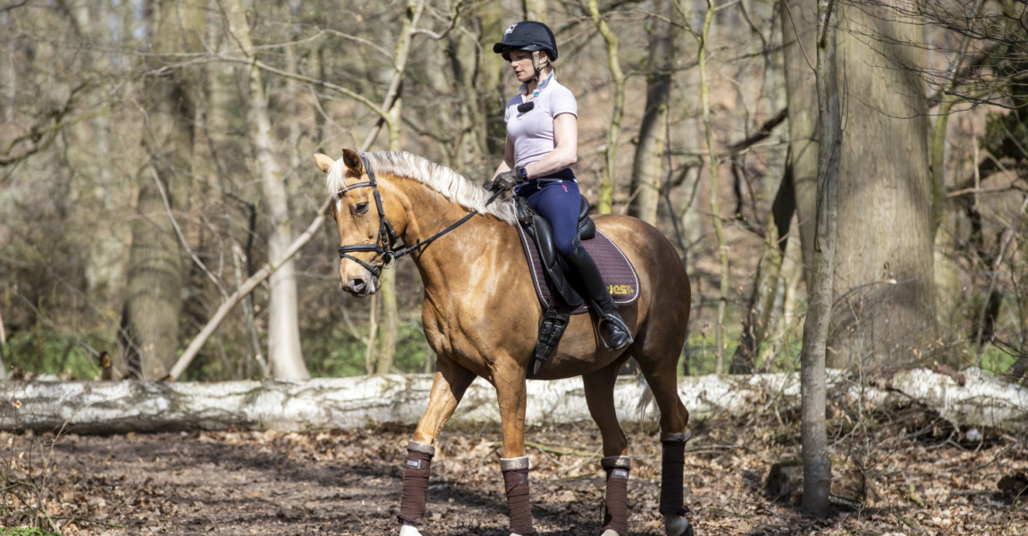 ROHLDORF - Wald und Wiese Trainingsideen mit Julia Mestern 2018 ROHLDORF - Wald und Wiese Trainingsideen mit Julia Mestern 2018 MESTERN Julia (GER) Kraft- und Konditionstraining im Wald Kehrtwende Rohldorf, Reitanlage Mestern 17. April 2018 © www.sportfotos-lafrentz.de/Stefan Lafrentz 