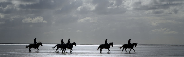 Reiter im Wattenmeer 