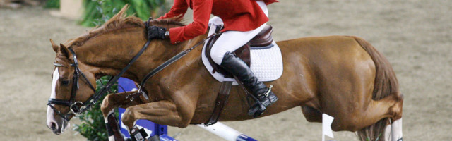 01.09. Bildnummer: 09932395 Datum: 16.11.2007 Copyright: imago/Pressefoto Baumann Reiten Pferdesport Internationales Reit - und Springturnier Stuttgart German Masters 2007 Springreiten Ludger Beerbaum auf Couleur Rubin { ; kbdig 2007 quer Pferd Reitturnier Reitsport Image number 09932395 date 16 11 2007 Copyright imago Baumann riding Equestrian sports International Reit and Spring tournament Stuttgart German Masters 2007 showjumping Ludger Beerbaum on Couleur Rubin Kbdig 2007 horizontal Horse Horse Horse riding 