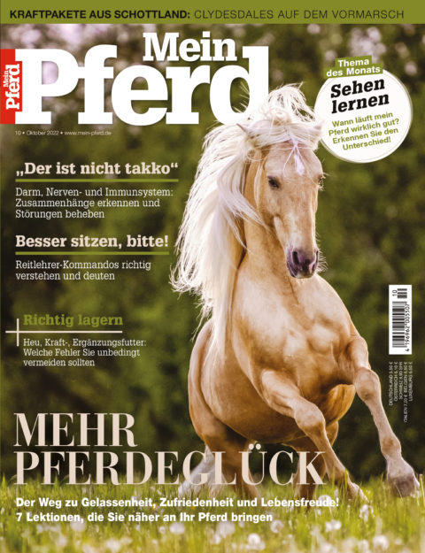 10_2022_mein_pferd 