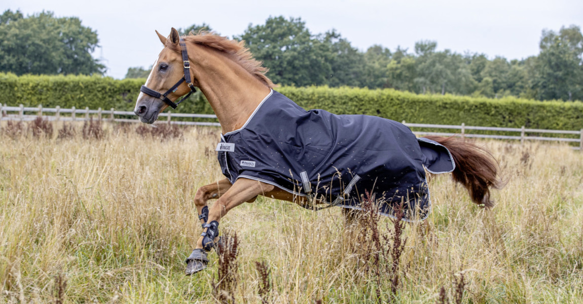 Pinneberg - Homestory Janne Friederike MEYER-ZIMMERMANN 2019 MEYER-ZIMMERMANN Janne Friederike (GER), Goja Pinneberg - Homestory Janne Friederike MEYER-ZIMMERMANN 2019 05. August 2019 © www.sportfotos-lafrentz.de/Stefan Lafrentz 