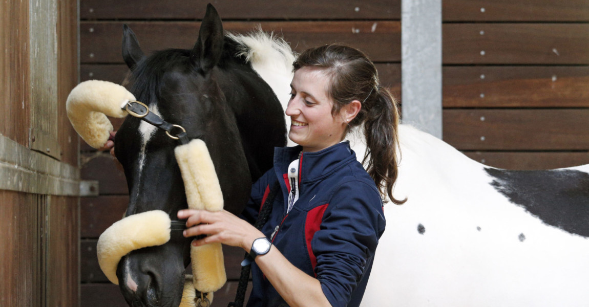 22.06.2019, Bruemmerhof, Niedersachsen, GER - Frau legt ihrem Pferd ein Lammfell-Transporthalfter an. (Pferd, Frau, Lamm 22.06.2019, Bruemmerhof, Niedersachsen, GER - Frau legt ihrem Pferd ein Lammfell-Transporthalfter an. Pferd, Frau, Lammfell Transport Halfter, Lammfell-Transporthalfter, Transporthalfter, Kopfschutz, Schutz, anlegen, Halfter, auf Reisen, Haltung, Pferdehaltung, gepolstert, Polsterung 190622D089BRUEMMERHOF.JPG *** 22 06 2019, Bruemmerhof, Lower Saxony, GER Woman puts a lambskin transport halter on horse, woman, lambskin transport halter, lambskin transport halter, transport halter, headgear, headgear, protection, put on, halter, on journeys, keeping, horse keeping, padded, padding 190622D089BRUEMMERHOF JPG 