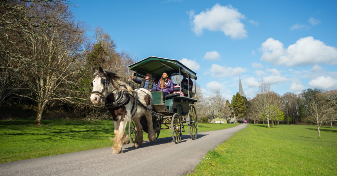Killarney,,Ireland,-,April,4th,2016:,Tourists,Enjoying,A,Jaunting Killarney, Ireland - April 4th 2016: tourists enjoying a jaunting car tour through Killarney national park in the Ring of Kerry 
