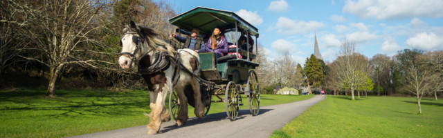 Killarney,,Ireland,-,April,4th,2016:,Tourists,Enjoying,A,Jaunting Killarney, Ireland - April 4th 2016: tourists enjoying a jaunting car tour through Killarney national park in the Ring of Kerry 
