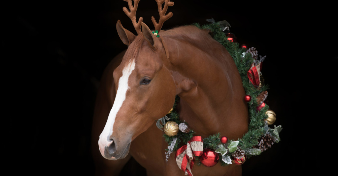 Christmas Horse black background 