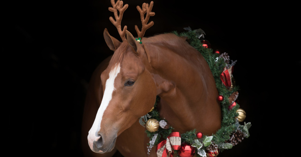 Christmas Horse black background 