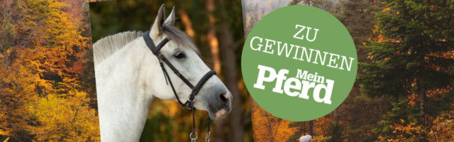 gewinne_02 