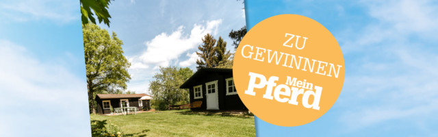 gewinne_04 