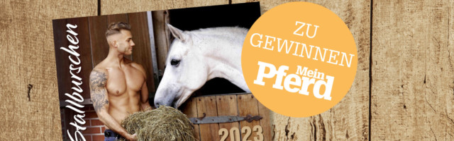 gewinne_05 