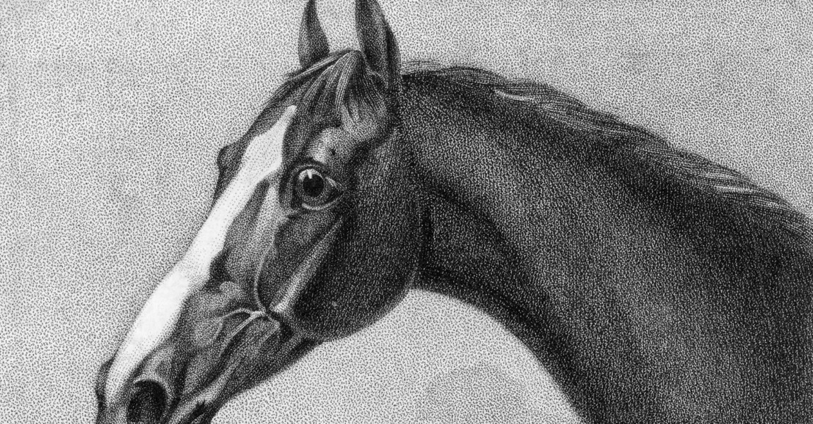 Old Eclipse Thorougbred racehorse Eclipse, also known as Old Eclipse, foaled in 1764. He won every race he ran in and sired several Derby winners before dying in 1789. (Photo by Hulton Archive/Getty Images) 