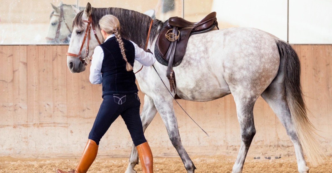 slawik_lusitano_hippus8211 