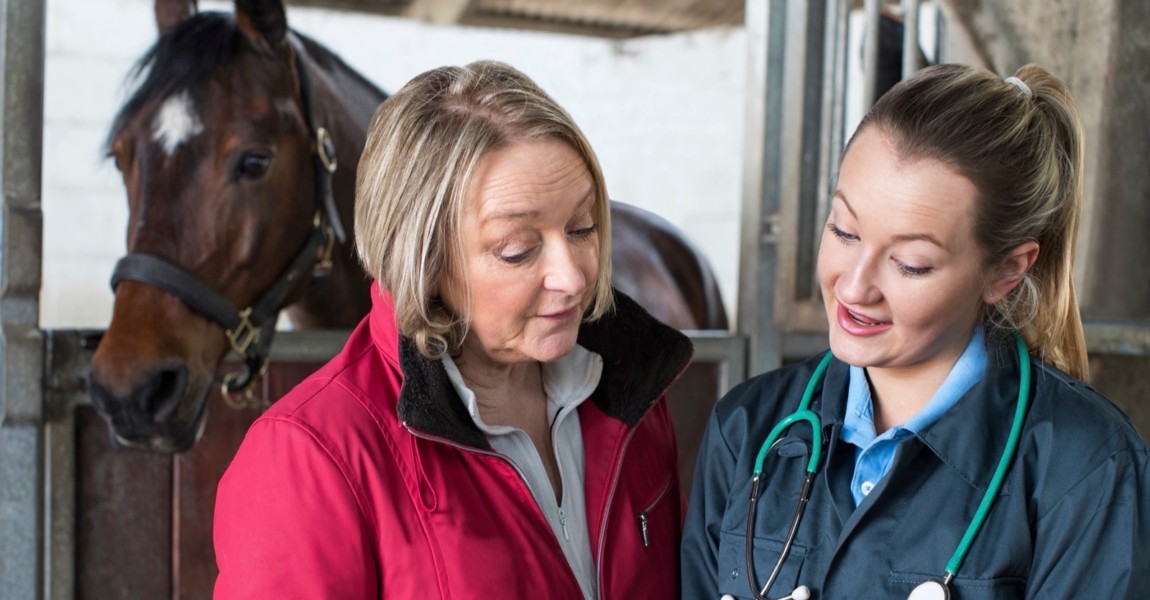 Female Vet Examining Horse In Stables Showing Owner Digital Tablet Female Vet Examining Horse In Stables Showing Owner Digital Tablet 