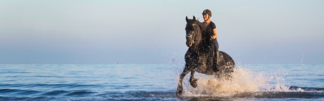 Slawik_friese_unyck1021172 