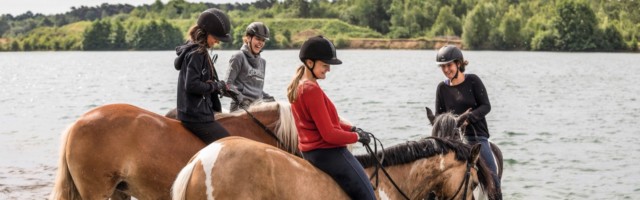 Sattelloses Reiten Sattelloses Reiten in Bad Lear für das Mein Pferd Magazin am 06.06.2017 . Foto: DANIEL ELKE 