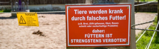 Scxhild F¸ttern verboten vor einem Pferdestall im Reitlingstal, Naturpark Elm-Lappwald Erkerode Niedersachsen Deutschla Scxhild F¸ttern verboten vor einem Pferdestall im Reitlingstal, Naturpark Elm-Lappwald Erkerode Niedersachsen Deutschland *** Scxhild feeding prohibited in front of a horse stable in Reitlingstal, Elm Lappwald Nature Park Erkerode Lower Saxony Germany 