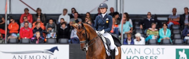 Pferdesport Dressur 17-30-d0013-Mara De Vries-NED-Farzana G-kwpn- 2017-08-05- 15:00:53h- Longines FEI/WBFSH World Breeding Dressage Championships for Young Horses -Ermelo,-National Equestrian Centre,FNSR-Nederland, D09 - CH-M-D YH FEI Final Test for 7 Year old horses presented by Longines. 