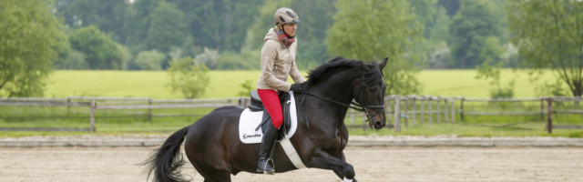 8.9. Bildnummer: 13743841 Datum: 04.06.2013 Copyright: imago/Rau M¸nster 04.06.2013 Ingrid Klimke und Besucher beim Offenen Training , hier beim Cavalettitraining mit Olympiapferd Abraxxas ; Pferdesport Reiten Military Vielseitigkeitsreiten xas x0x 2013 quer Pferdesport Reiten Military Vielseitigkeitsreiten Image number 13743841 date 04 06 2013 Copyright imago Tough Muenster 04 06 2013 Ingrid Klimke and Visitors the open Training here the with Abraxxas Equestrian sports riding Military Versatility riding xas x0x 2013 horizontal Equestrian sports riding Military Versatility riding 