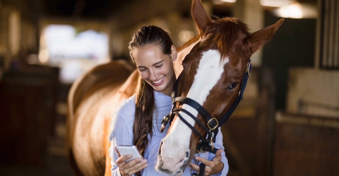 Female vet using mobile phone while standing by horse Female vet using mobile phone while standing b Female vet using mobile phone while standing by horse Female vet using mobile phone while standing by horse in stable, model released, , property released, Cape Town, South Africa, 2017-05-02T23:00:00.000Z, 1054828.jpg, vet, using, mobile phone, standing, horse, stable, animal, loving, domestic animal, veterinarian, beautiful, medical, professional, specialist, job, check up, working, one animal, mammal, livestock, herbivorous, paddock, equestrian center, care, together, occupation, sunlight, happy, smiling, toothy smile, smartphone, wireless technology, phone, holding, communication, connection, wireless, cellphone, technology, uniform 20s, Young Adult, Woman, Female, Caucasian, 20-24 Years, Young Women, Caucasian Ethnicity Indoors,Front 