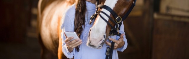 Female vet using mobile phone while standing by horse Female vet using mobile phone while standing b Female vet using mobile phone while standing by horse Female vet using mobile phone while standing by horse in stable, model released, , property released, Cape Town, South Africa, 2017-05-02T23:00:00.000Z, 1054828.jpg, vet, using, mobile phone, standing, horse, stable, animal, loving, domestic animal, veterinarian, beautiful, medical, professional, specialist, job, check up, working, one animal, mammal, livestock, herbivorous, paddock, equestrian center, care, together, occupation, sunlight, happy, smiling, toothy smile, smartphone, wireless technology, phone, holding, communication, connection, wireless, cellphone, technology, uniform 20s, Young Adult, Woman, Female, Caucasian, 20-24 Years, Young Women, Caucasian Ethnicity Indoors,Front 