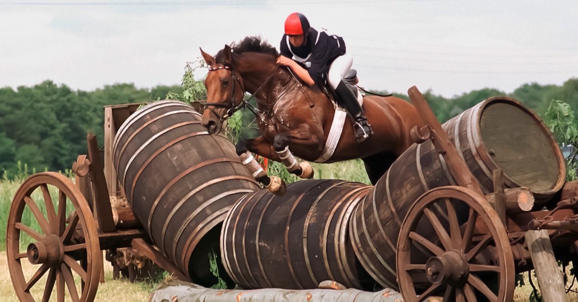 Inken Johannsen GER mit Brilliante beim ‹berqueren des Hindernisses Inken Johannsen (GER) mit Brilliante beim ‹berqueren des Hindernisses Inken Johannsen ger with Brilliant the Cross the Obstacle 