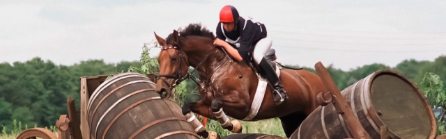 Inken Johannsen GER mit Brilliante beim ‹berqueren des Hindernisses Inken Johannsen (GER) mit Brilliante beim ‹berqueren des Hindernisses Inken Johannsen ger with Brilliant the Cross the Obstacle 