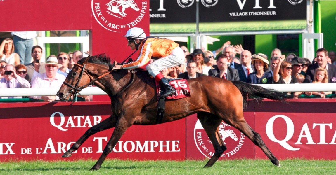 19.02. Bildnummer: 08704784 Datum: 02.10.2011 Copyright: imago/Frank Sorge 02.10.2011, Paris, FRA, FRANKREICH - Danedream with Andrasch Starke up wins the Qatar Prix de l Arc de Triomphe. Longchamp racecourse. (Pferd, Jockey, Danedream, Starke, Sieg, Ziel, Zielankunft) 865D021011LONGCHAMP.JPG ; Reiten Pferdesport Pferderennen Galopp Paris Longchamp xdp x0x 2011 quer Aufmacher premiumd Pferd Jockey Danedream Starke Sieg Ziel Zielankunft Image number 08704784 date 02 10 2011 Copyright imago Frank Worry 02 10 2011 Paris FRA France with Andrasch Strength Up Wins The Qatar Prix de l Arc de Triomphe Longchamp Racecourse Horse Jockey Strength Victory Target Finish 865D021011LONGCHAMP jpg riding Equestrian sports Horse race Gallop Paris Longchamp x0x 2011 horizontal Highlight premiumd Horse Jockey Strength Victory Target Finish 