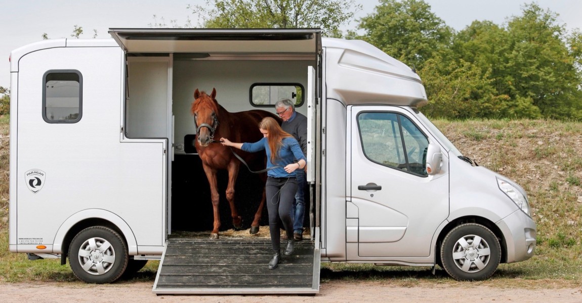 07.09.2019, Magdeburg, Sachsen-Anhalt, GER - Pferd wird aus einem Transporter ausgeladen. Galopprennbahn Magdeburg-Herre 07.09.2019, Magdeburg, Sachsen-Anhalt, GER - Pferd wird aus einem Transporter ausgeladen. Galopprennbahn Magdeburg-Herrenkrug. auf Reisen, ausladen, aussteigen, LKW, Pferd, Pferdepflegerin, Pferdetransport, Pferdetransporter, Rampe, Reise, Reisen, Tiertransport, Transport, Transporter, Transporteur, transportieren, unterwegs, Verladerampe, Soliman 190907D172MAGDEBURG.JPG 07 09 2019, Magdeburg, Sachsen Anhalt, GER Pferd wird aus einem Transporter ausgeladen Galopprennbahn Magdeburg Herrenkrug auf Reisen, ausladen, aussteigen, LKW, Pferd, Pferdepflegerin, Pferdetransport, Pferdetransporter, Rampe, Reise, Reisen, Tiertransport, Transport, Transporter, Transporter, Transporter, transportieren, unterwegs, Verladederampe, Soliman 190907D172MAGDEBURG JPG 