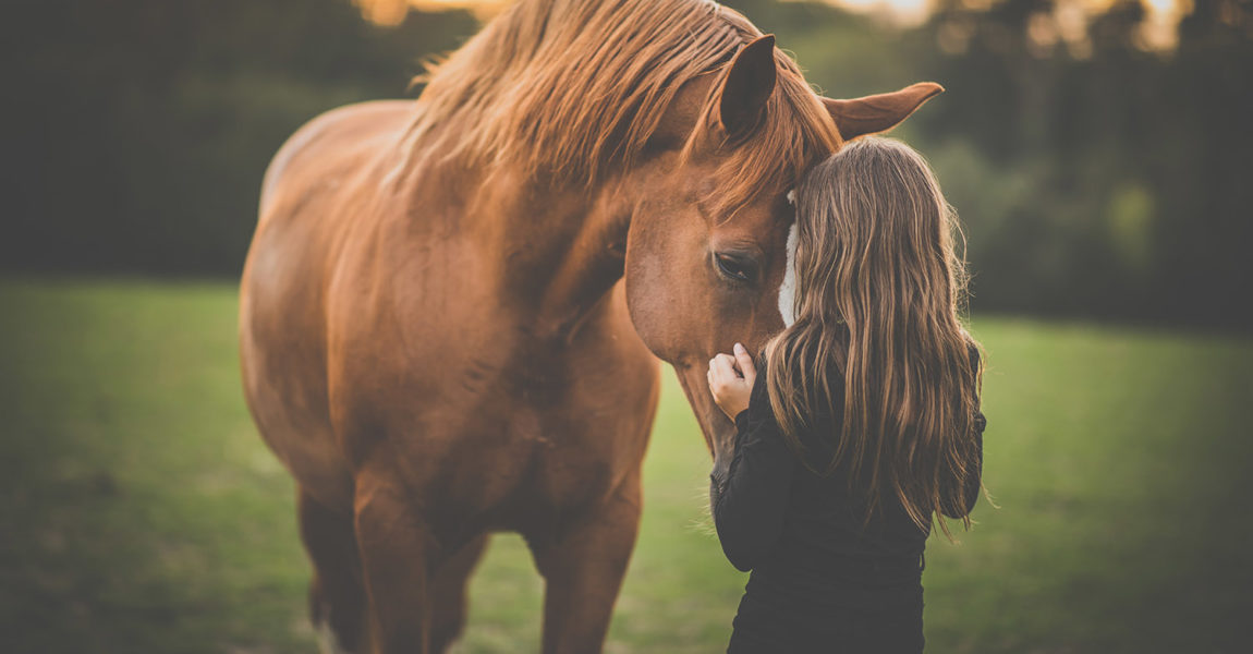 Cute,Little,Girl,With,Her,Horse,On,A,Lovely,Meadow Cute little girl with her horse on a lovely meadow lit by warm evening light 