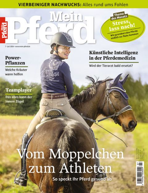 07_2024_mein_pferd 