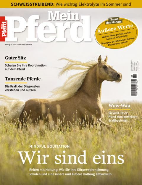08_2024_mein_pferd 