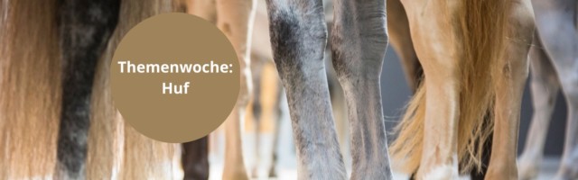 MPF Themenwoche Huf 