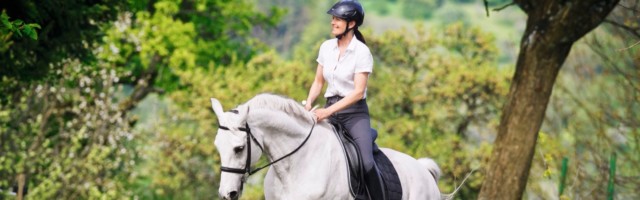 Slawik_trakehner_kalypso122 
