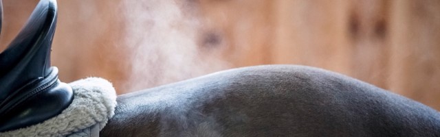 schwitzen_winter218 