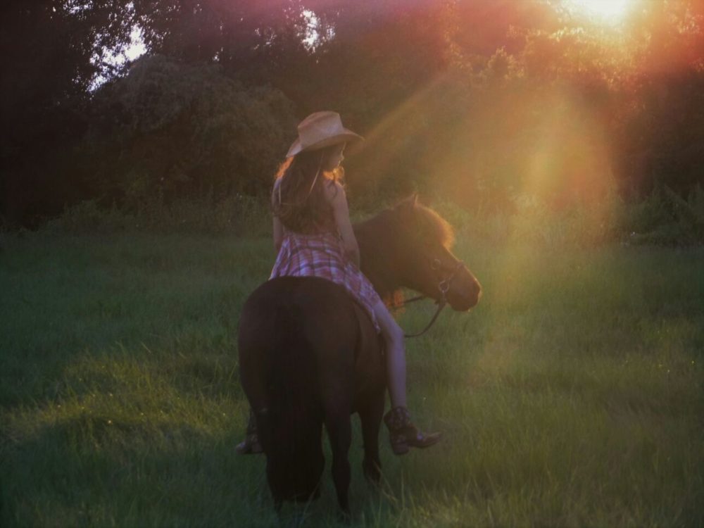 Abendsonne mit Betty . Jenny Haase