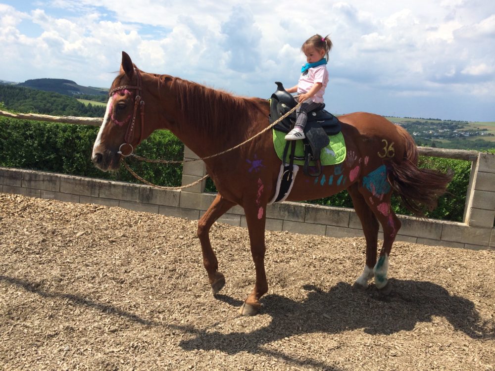 Indianer-Pony