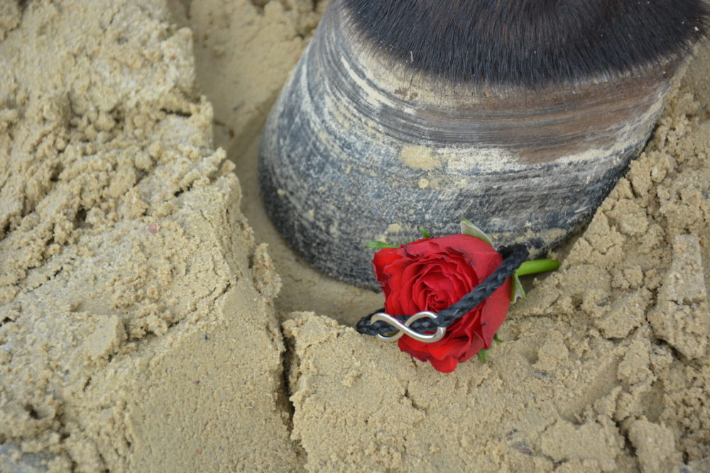 Spuren im Sand verwehen. Spuren im Herzen bleiben.