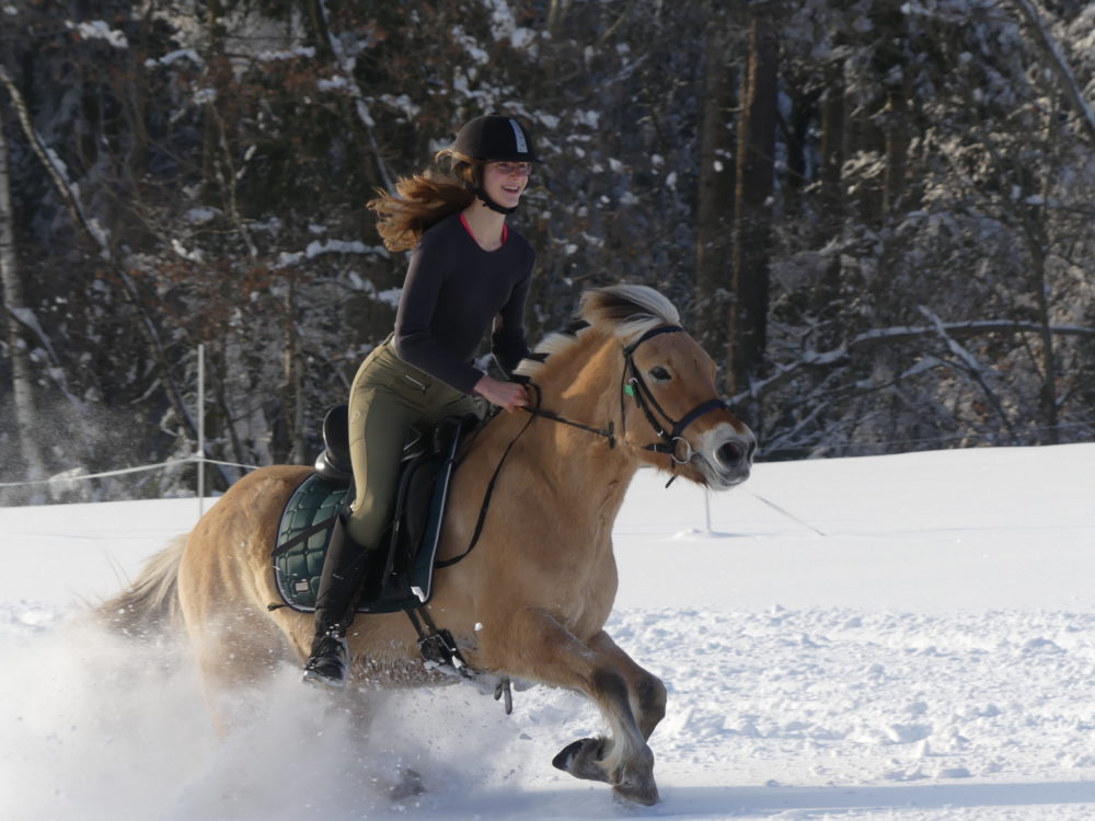 Galopp im Schnee💙