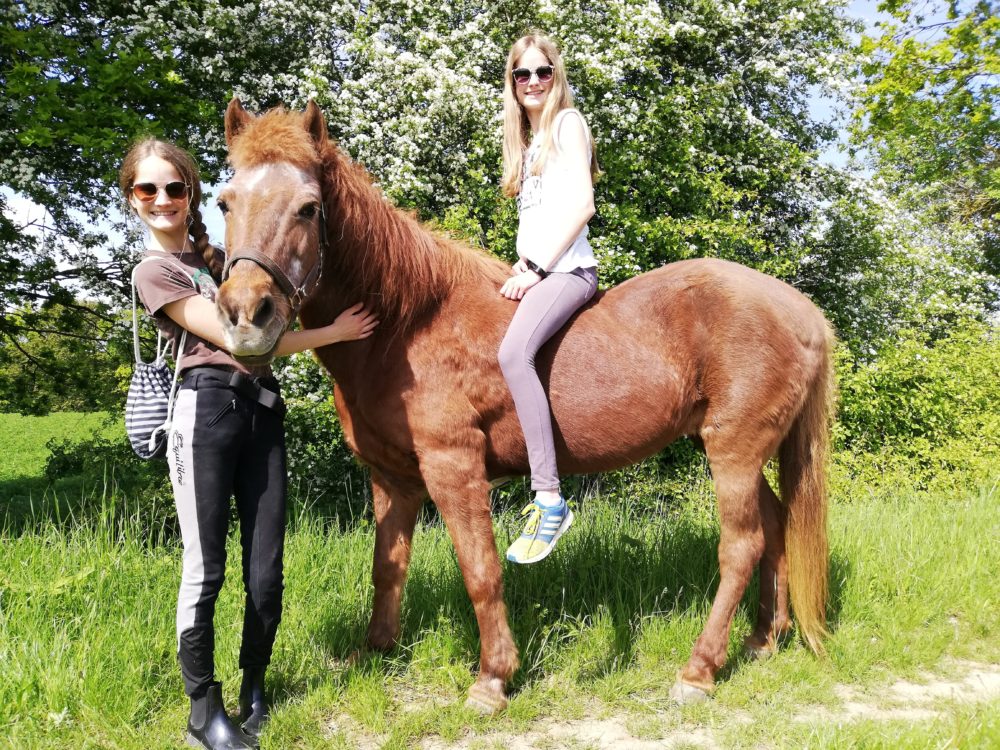 Wenn du das Vertrauen eines Pferdes gewonnen hast, hast du einen Freund fürs Leben gefunden ❣️